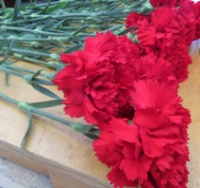 "���� �� ���� ������"