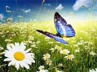 ����� ����������! ���������!