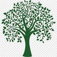 ������ ���� �������� �������� ������� ������� �� ������ ��������