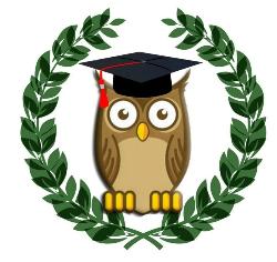 ❗       21  ()  15-00 ( 13-205 .).