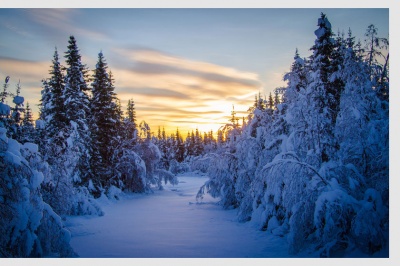 "������� �����". ������ �� ������ � ��������� ���