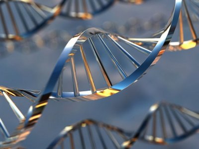 �������� ������-���������� ������