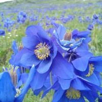 �������������� ����� ����������� �����