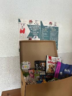  6  22            "".