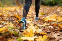 Всероссийский день ходьбы Всероссийский день ходьбы
