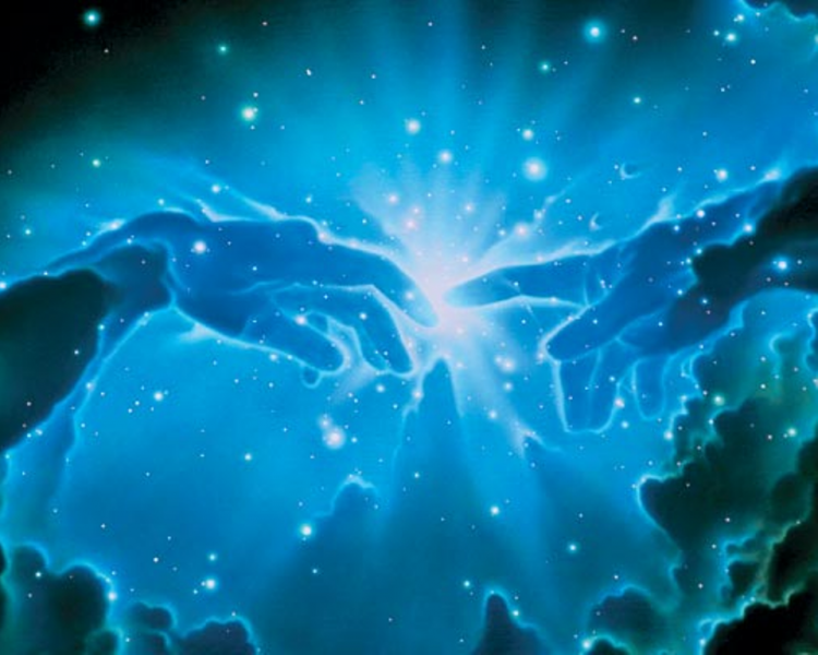 "OMSK FASHION POINT":       -