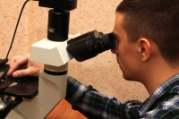 IV  -      :  , 17  2015