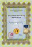         (Diploma di Merito)