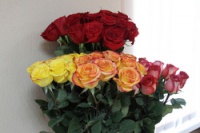 ����������� ��������� ����. "���������� ����" � �������� ������ ���������������� ��������